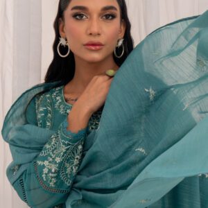 Pakistani dress (3PC)