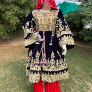 Light Gold Charma Hand embroidered Velvet Dress